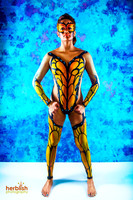 Lady Monarch