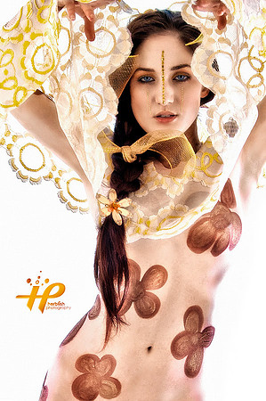 The Gold Princess