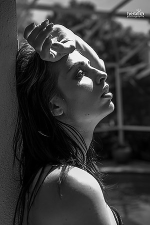 Holiday et noir