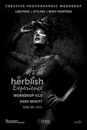 Herblish Experience V2.0 Poster