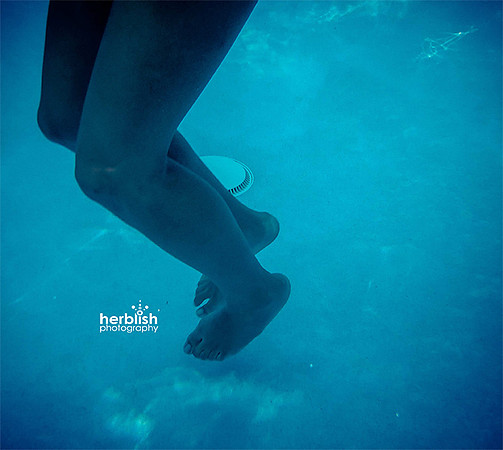 Beauty will Surface; A Photographic Essay - Book Back Cover