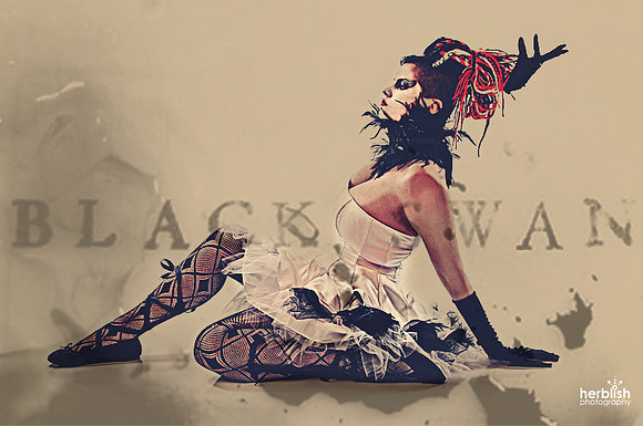 The Black Swan